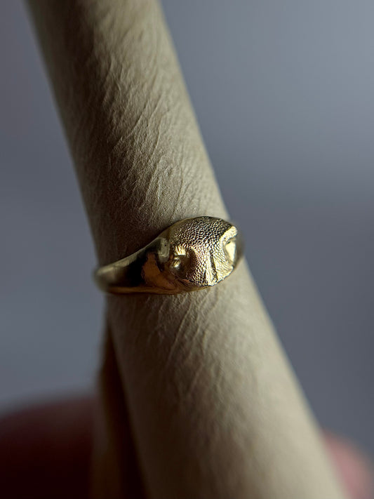 Naturalove Ring Kit